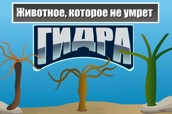 Кракен вход