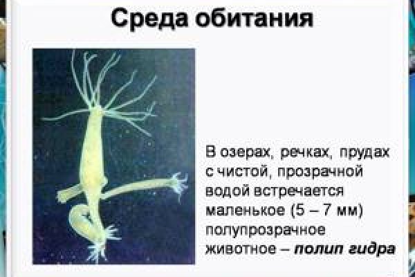 Кракен сайт работает