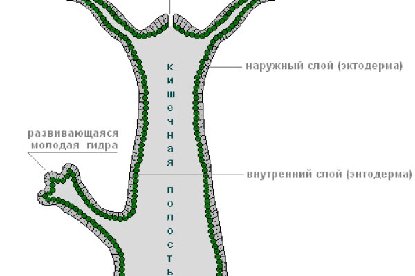 Kra33.cc Вход на сайт главная страница