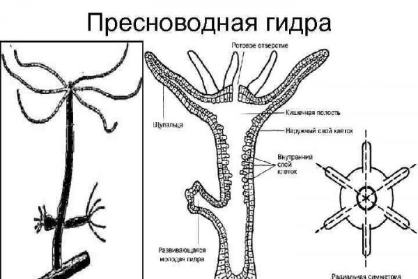 Где купить наркоты