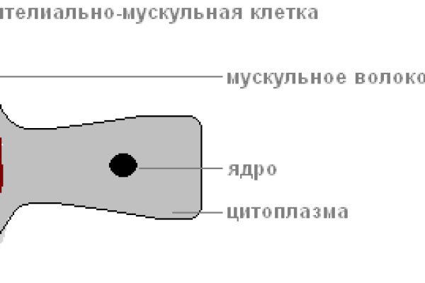 Kraken darknet kraken darknet 2n com