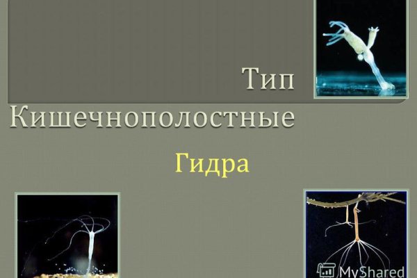 Список даркнет сайтов