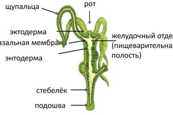 Кракен что это магазин