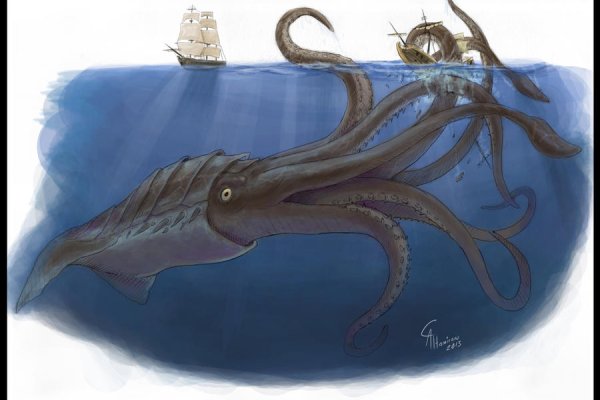 Kraken 24at