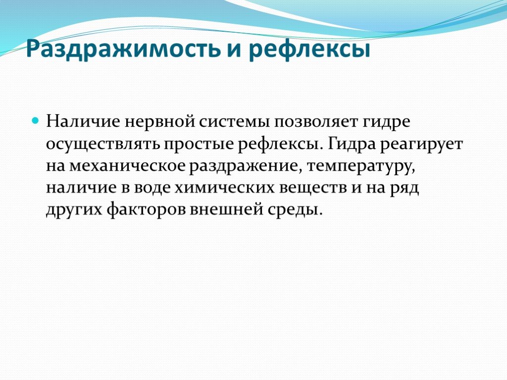 Что такое кракен в даркнете