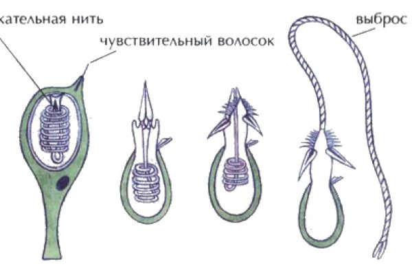 Кракен маркетплейс