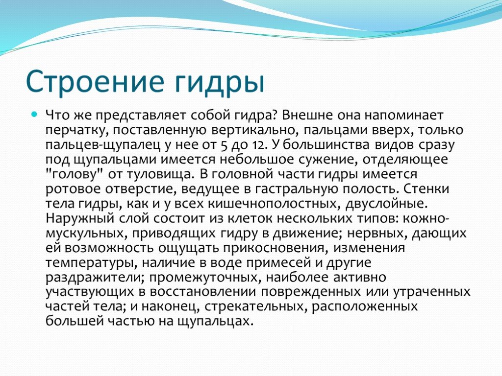 Маркет плейс кракен маркетплейс